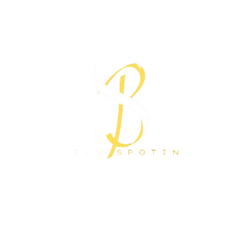 bagspotin logo